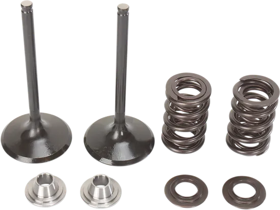 Moose Stainless Steel Valve and Spring Exhaust Kit w Seals