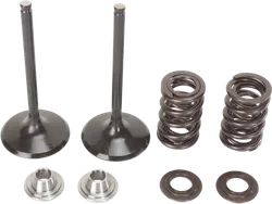 Moose Stainless Steel Valve and Spring Exhaust Kit w Seals