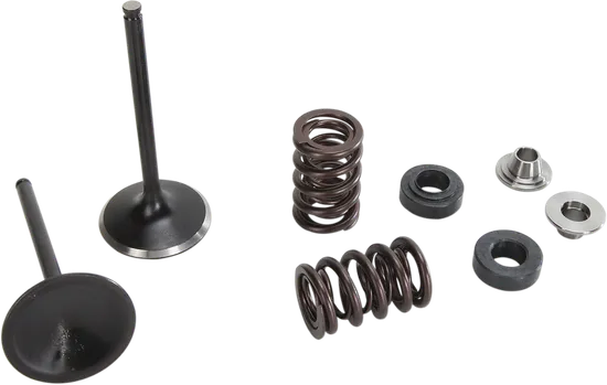 Moose F.E.A. Stainless Steel Valve and Spring Intake Kit