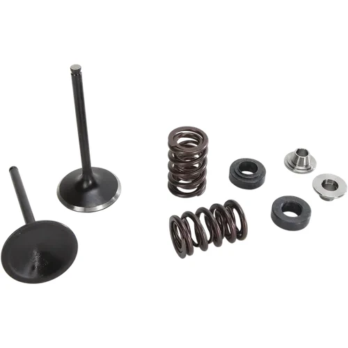 Moose F.E.A. Stainless Steel Valve and Spring Intake Kit 3
