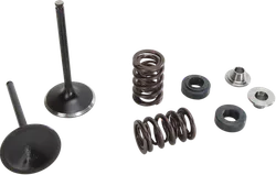 Moose F.E.A. Stainless Steel Valve and Spring Intake Kit
