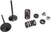 Moose F.E.A. Stainless Steel Valve and Spring Intake Kit