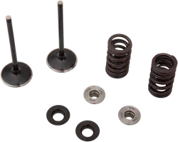 Moose F.E.A. Stainless Steel Valve and Spring Intake Kit