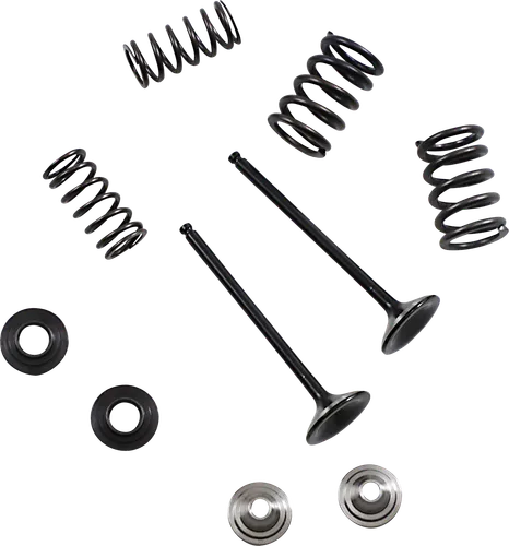 Moose Stainless Steel Valve and Spring Exhaust Kit w Seals 3