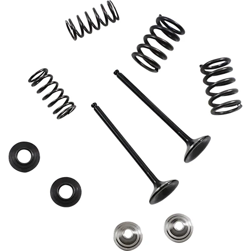 Moose Stainless Steel Valve and Spring Exhaust Kit w Seals 3