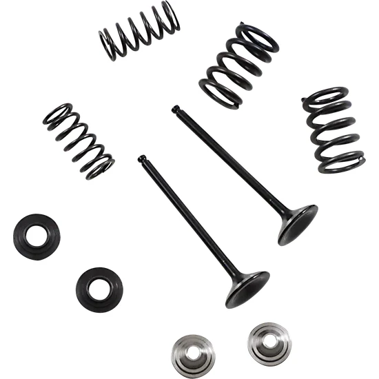 Moose Stainless Steel Valve and Spring Exhaust Kit w Seals 2