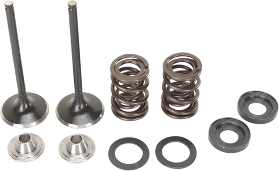 Moose F.E.A. Stainless Steel Valve and Spring Intake Kit