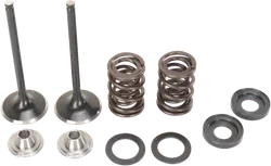 Moose F.E.A. Stainless Steel Valve and Spring Intake Kit