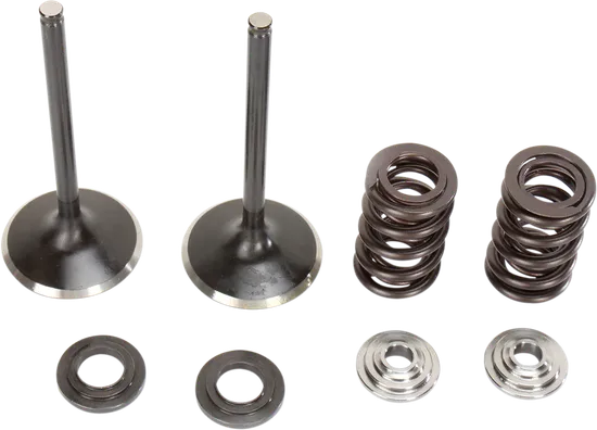 Moose F.E.A. Stainless Steel Valve and Spring Intake Kit