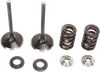 Moose F.E.A. Stainless Steel Valve and Spring Intake Kit