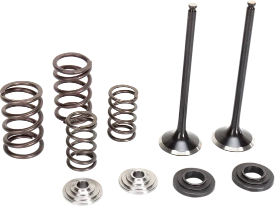 Moose Stainless Steel Valve and Spring Exhaust Kit w Seals 3