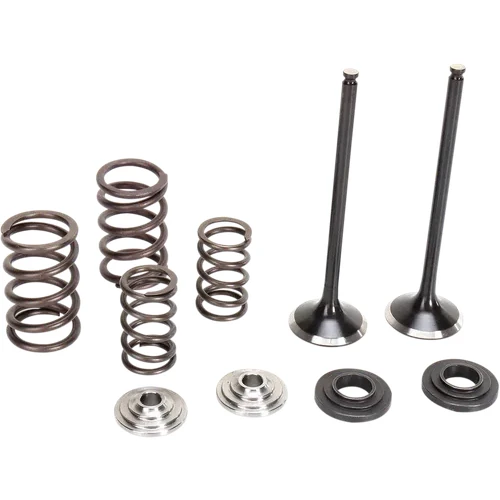 Moose Stainless Steel Valve and Spring Exhaust Kit w Seals 3