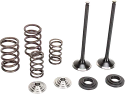 Moose Stainless Steel Valve and Spring Exhaust Kit w Seals