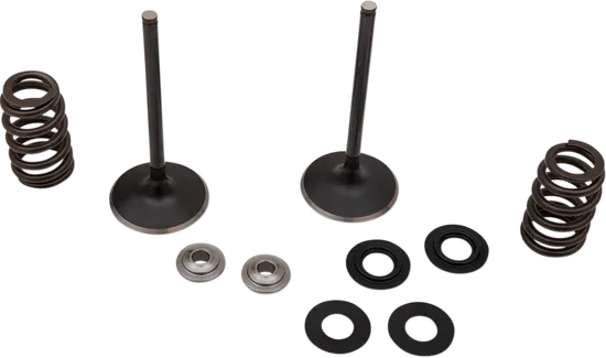 Moose F.E.A. Stainless Steel Valve and Spring Intake Kit