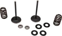 Moose F.E.A. Stainless Steel Valve and Spring Intake Kit