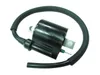 Bronco Ignition Coil