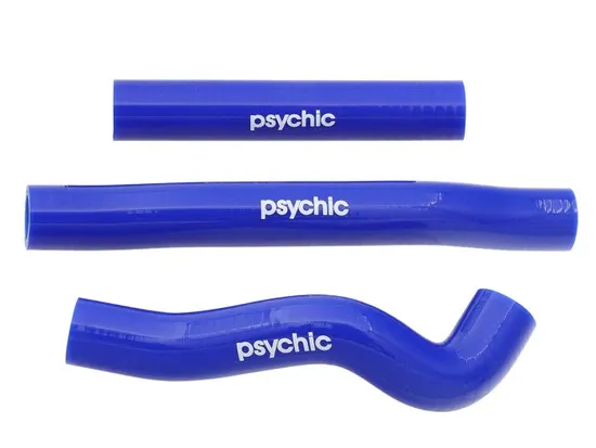 Psychic Blue Silicone Radiator Hose 2