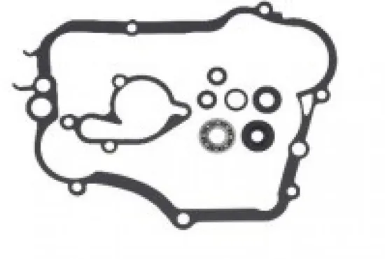 Psychic Water Pump Repair Rebuild Kit