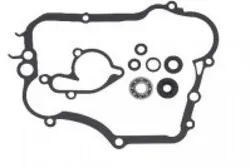 Psychic Water Pump Repair Rebuild Kit