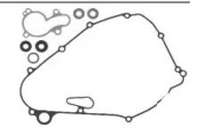 Psychic Water Pump Repair Rebuild Kit
