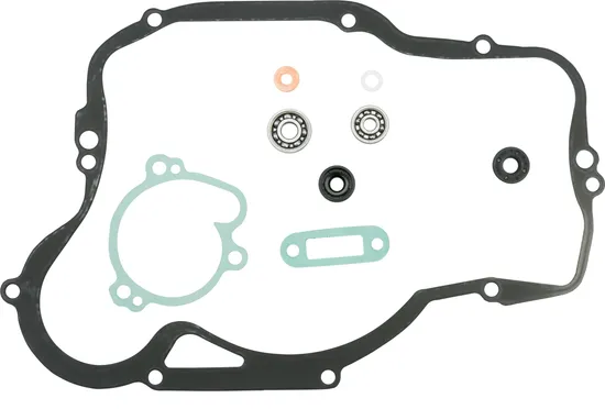 Athena Water Pump Rebuild Kit