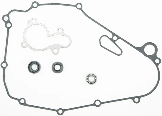 Athena Water Pump Rebuild Kit