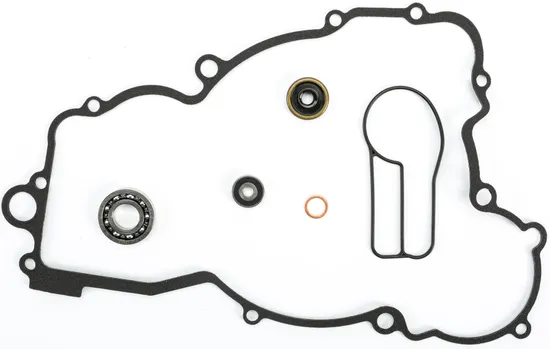 Athena Water Pump Rebuild Kit