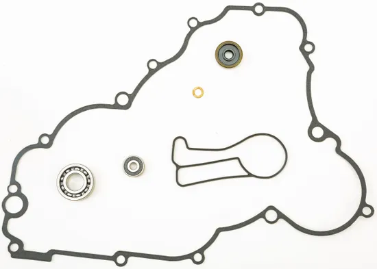 Athena Water Pump Rebuild Kit