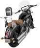 National Cycle Paladin QuickSet Backrest Luggage Rack Mounting System