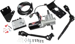 Electric Power Steering Kit - RZR