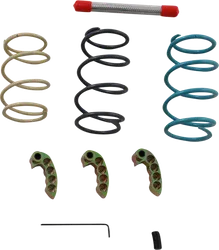 EPI Pro Series Clutch Kit Polaris RZR XP