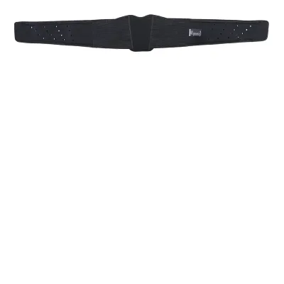 Alpinestars Adult Sequence Kidney Belt Black XS L XL 4XL 1