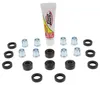 Pivot Works Front Upper A-Arm Bearing  Repair Kit