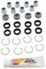 Pivot Works Rear Upper A-arm Bearing  Repair Kit