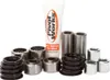 Pivot Works Front Lower A-Arm Bearing Repair Kit
