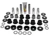 Pivot Works Rear Lower A Arm Bearing Repair Kit