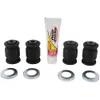 Pivot Works Rear Lower A-Arm Bearing Repair Kit