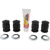 Pivot Works Rear Lower A-Arm Bearing Repair Kit
