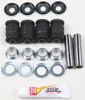 Pivot Works Rear Lower A Arm Bearing Repair Kit