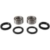 Pivot Works Front Wheel Bearing Kit