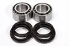 Pivot Works Front Wheel Bearing Kit