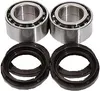 Pivot Works Front Wheel Bearing Kit