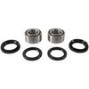 Pivot Works Front Wheel Bearing Kit