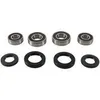 Pivot Works Front Wheel Bearing Kit
