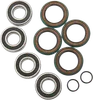 Pivot Works Front Wheel Bearing Kit