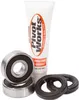 Pivot Works Front Wheel Bearing Kit