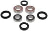 Pivot Works Front Wheel Bearing Kit
