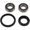 Pivot Works Front Wheel Bearing Kit