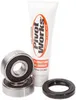 Pivot Works Front Wheel Bearing Kit