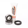 Pivot Works Front Wheel Bearing Kit